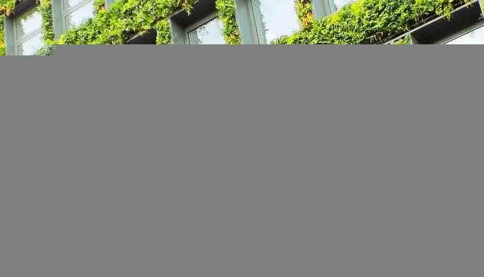 Green Buildings: It’s More Than Just Green Walls(pic1)